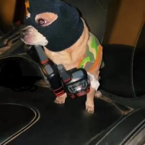 Meet your Posher, Juan carlos